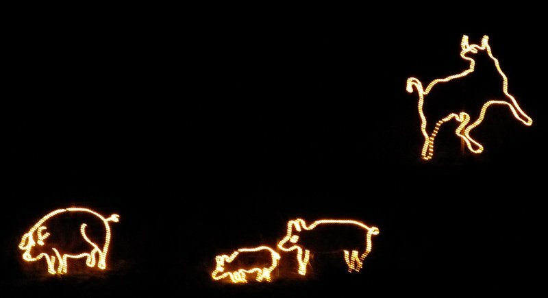 Figuras LED con animales